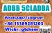 mediacongo